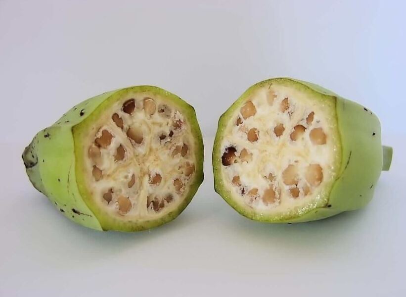 Do you believe in god?