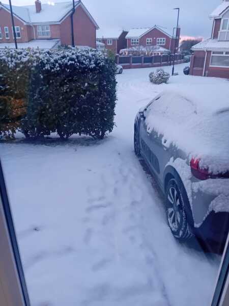 Snow Watch 2026 ❄️