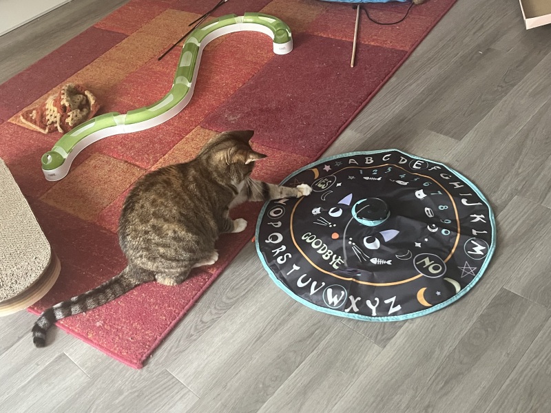 My housekeeper is vey religious and it’s causing issues