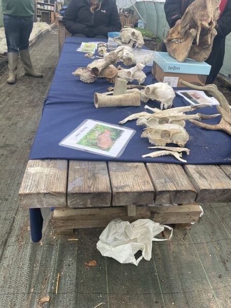 The Nigel Slater Christmas Chronicles Readalong 2025/6 Part 4