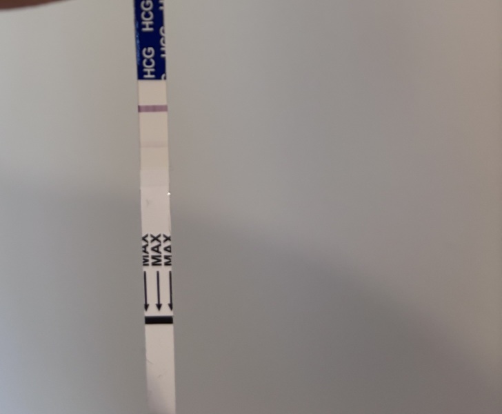 Does this look like an evap line?
