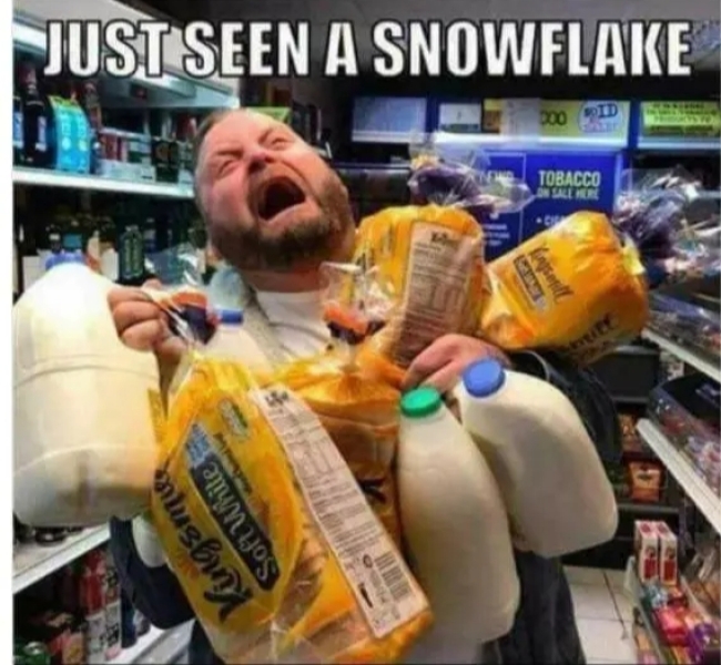 Why do people panic buy bread when it snows