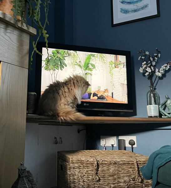 Thread 41 Starmer :  "Alban Arthan"  the returning of the light