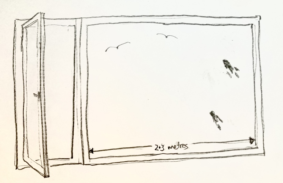 Sideways extendable window cleaner for bird poo