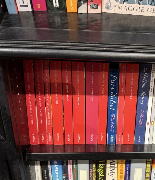 My year with Stella...