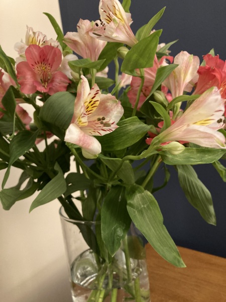 Thread 41 Starmer :  "Alban Arthan"  the returning of the light