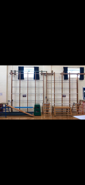 Did anyone else who went to primary school in the mid-80s have to do PE in their vest and pants?
