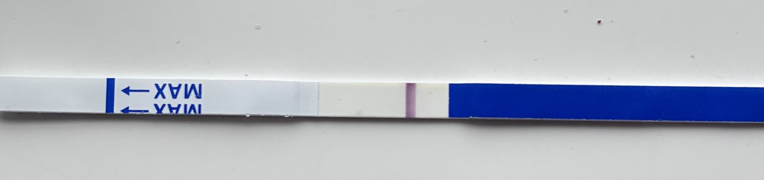 TWW feels like forever