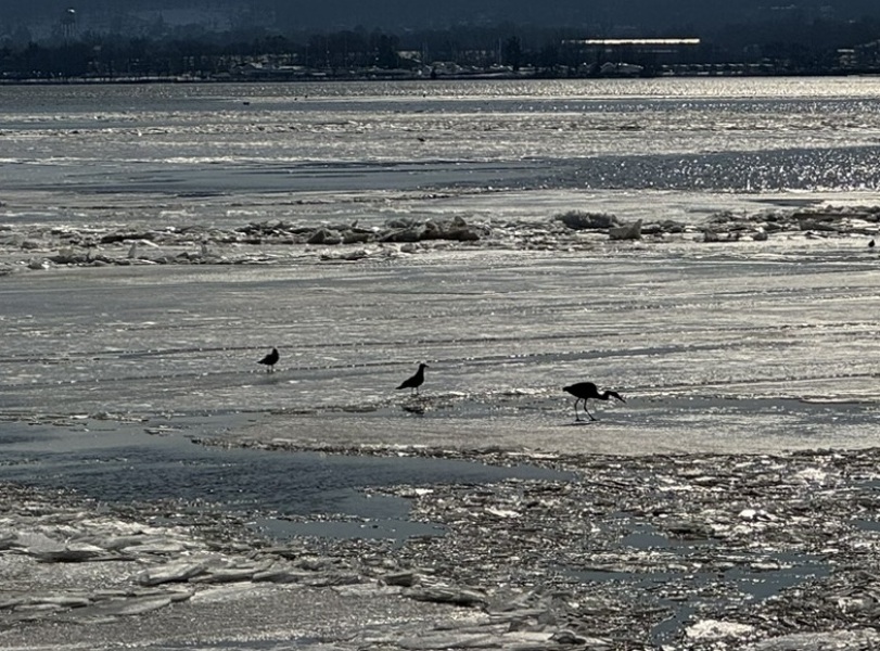 Chat thread 5 🐥🍲(Mumsnets could do better cont…)