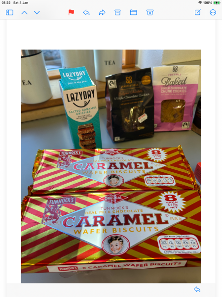 The Bluestocking Boxing Day sale: 1 gerbil for the price of 2