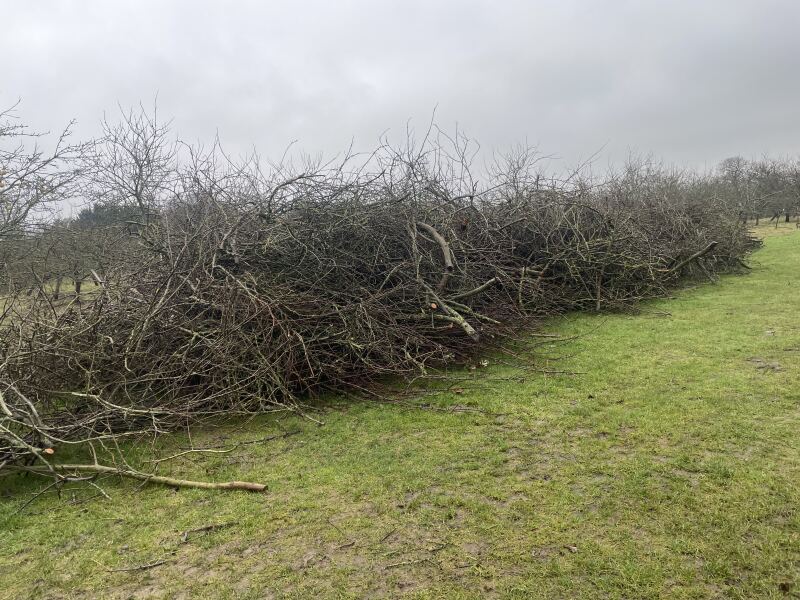 The Nigel Slater Christmas Chronicles Readalong 2025/6 Part 4