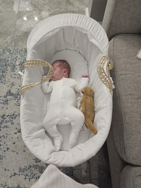 Due January 2026 - Thread 4