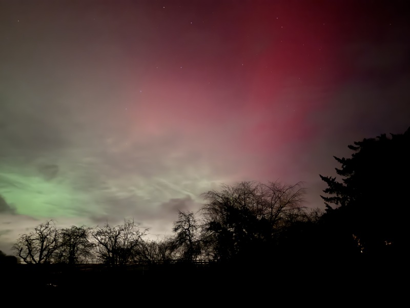 Northern Lights!