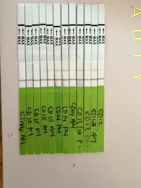 Opk help