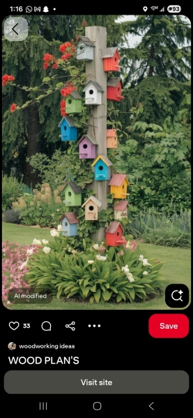 What have you done in the garden today? Part 7