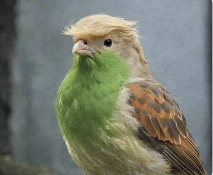 Whatever Atrocity is Next... - Trump Thread #154