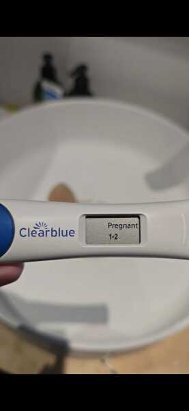 3 BFP or 3 EVAPs?