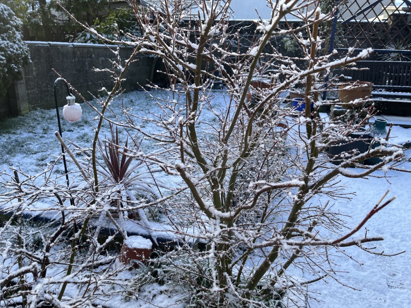 Thread 40 Starmer: Prettig Kerstfeest, Nollaig Shona, Hyvää Joulua, Nadolig Llawen ,圣诞快乐, God Jul, Feliz Navidad, Bouan Noué, Nollaig Chridheil.