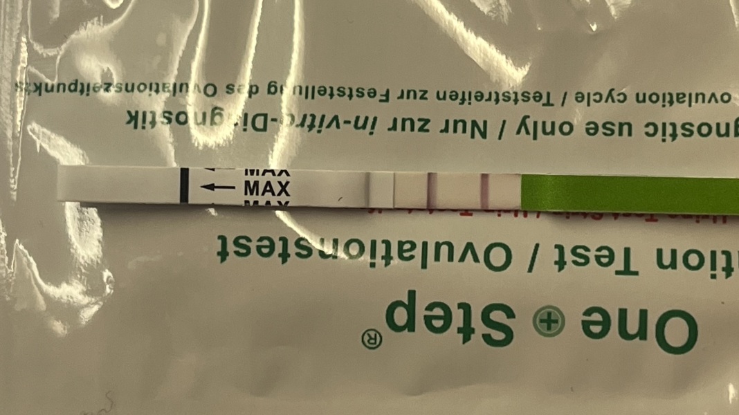 TWW feels like forever