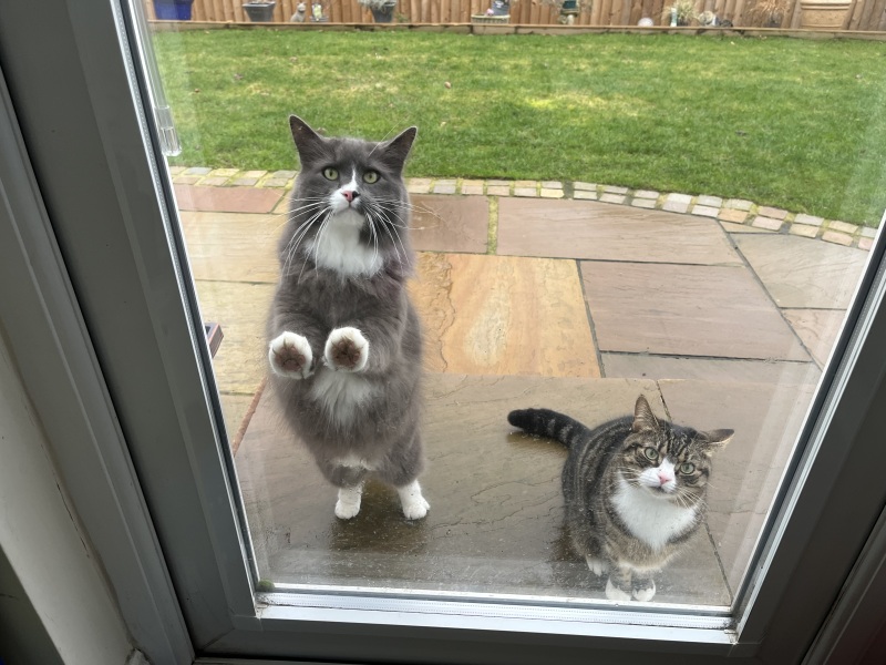 Thread 41 Starmer :  "Alban Arthan"  the returning of the light