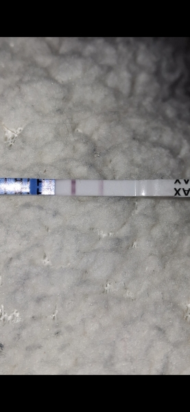 OPK advice please!