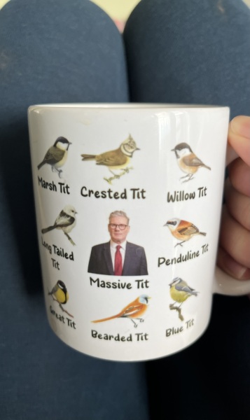 Labour isn't working - Thread 25