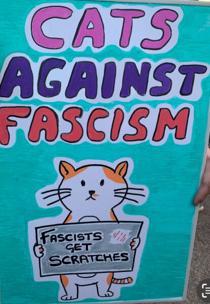 Thread 42 Starmer : Du drikker en kop te, og så tænker du lidt over alting