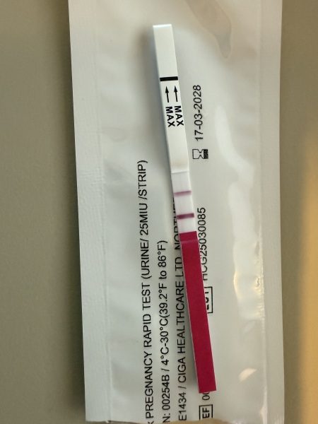 Due September 2026 🐣💖🙏🤞