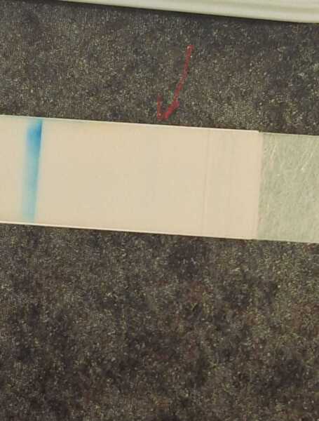 Can anybody else see this?