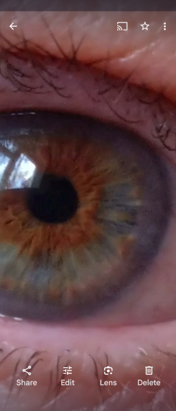 What colour would you say these eyes are ?