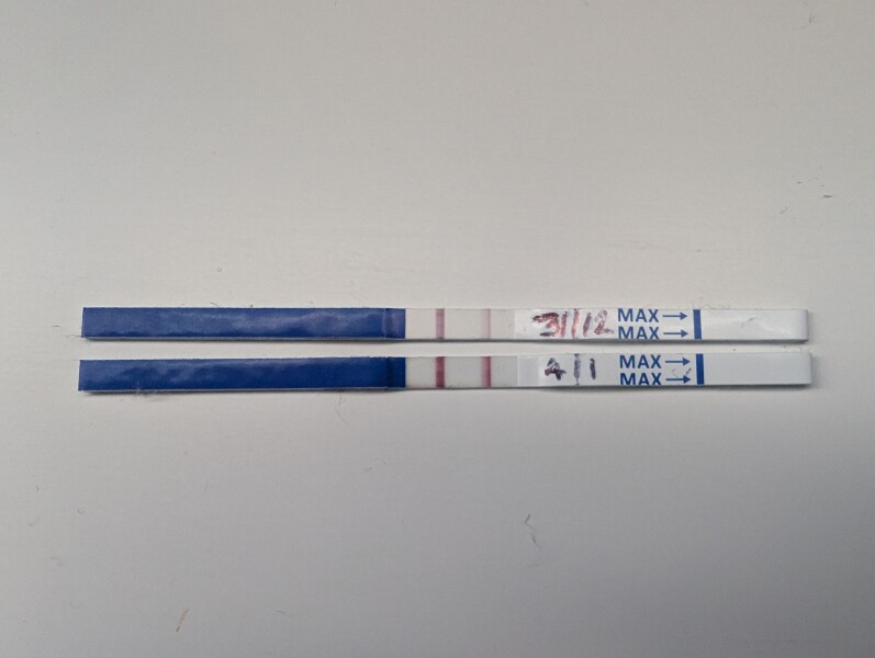 Due September 2026 🐣💖🙏🤞