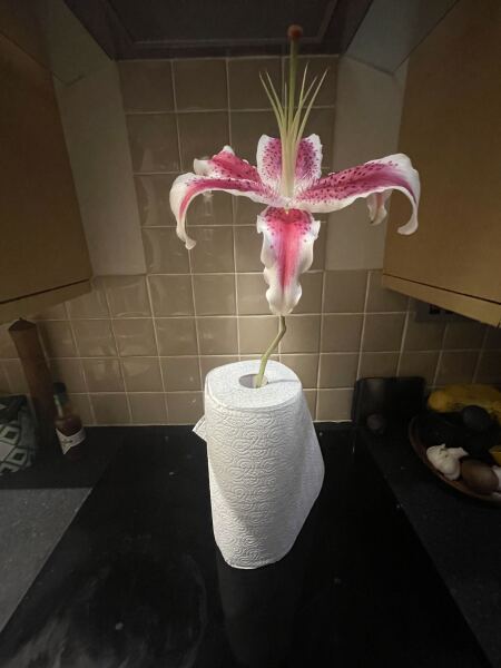 Mounjaro/Wegovy with >5 stone/30kg to lose - thread 11!