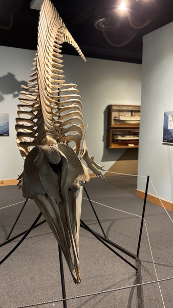 Come and tell us your dull and unexciting news 34: Calmly through the day