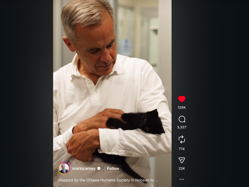 Mark Carney cuddling a kitten !