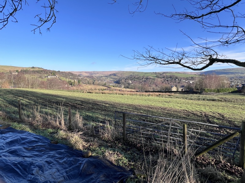 Daily Project Round 9