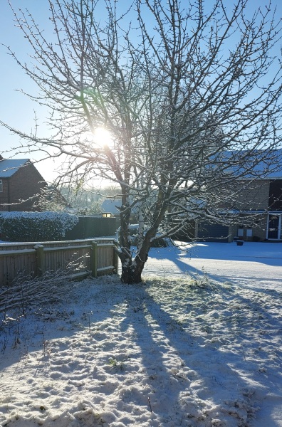 Thread 40 Starmer: Prettig Kerstfeest, Nollaig Shona, Hyvää Joulua, Nadolig Llawen ,圣诞快乐, God Jul, Feliz Navidad, Bouan Noué, Nollaig Chridheil.