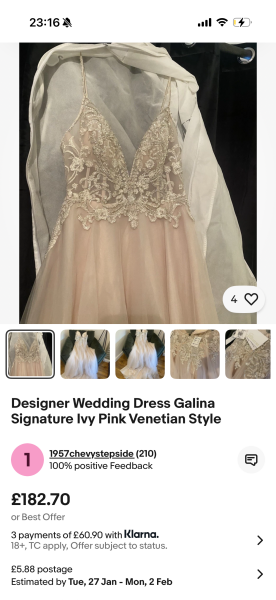Options wedding dress for under £300?