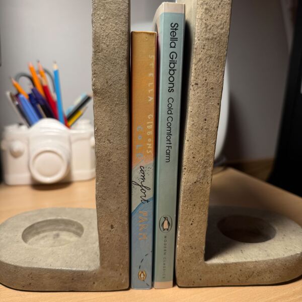 My year with Stella...