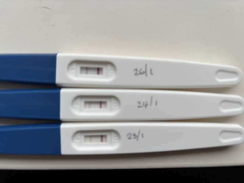 Does progression lines look ok? One step, morrisons, clear blue