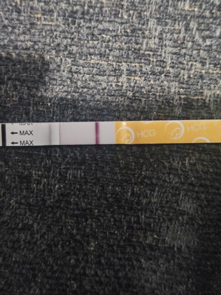 11 dpo