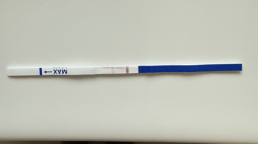 Is this dye run test positive?