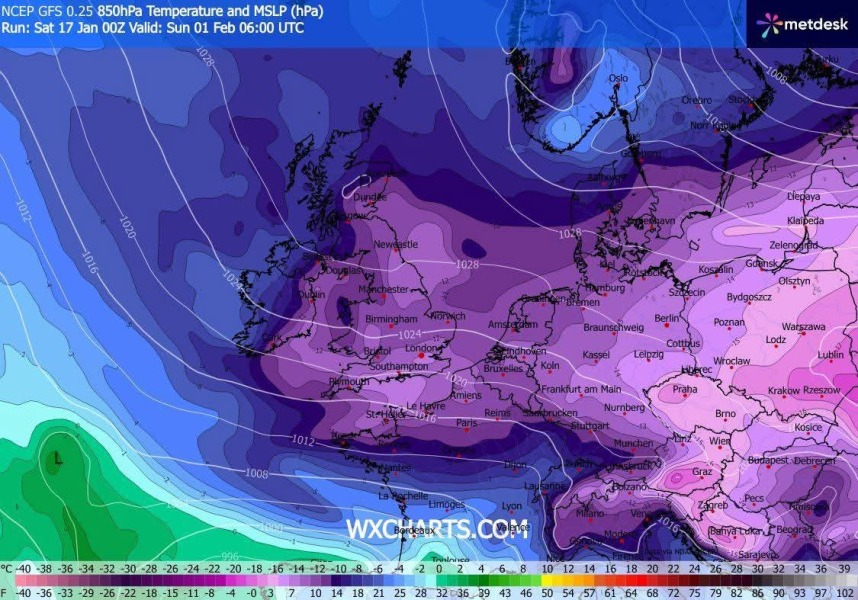 The Bluestocking, where the cheese is plentiful and the Champagne is on Boiledbeetle