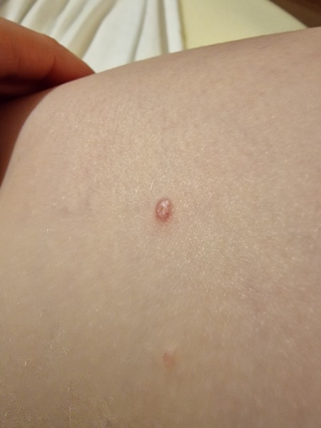 Any ideas what this is?