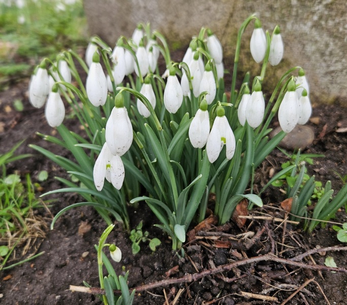 The Bluestocking - your local women's pub, warm, friendly, and not at all unusual in any way.