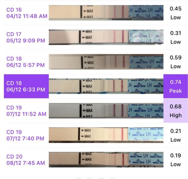 The Hopeful Hearts Circle 1  - December 2025🎄💖