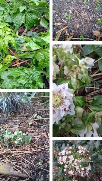 Any Witches Here? Part 21