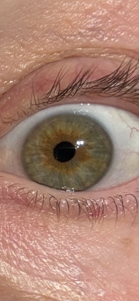 What colour would you say these eyes are ?