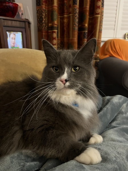 Thread 40 Starmer: Prettig Kerstfeest, Nollaig Shona, Hyvää Joulua, Nadolig Llawen ,圣诞快乐, God Jul, Feliz Navidad, Bouan Noué, Nollaig Chridheil.