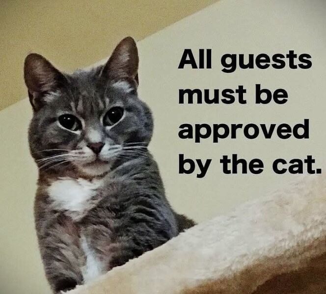 Who are they kidding? It's Oil, Oil, Oil, baby - Trump Thread #152