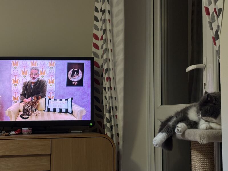 Cat man on Ch5